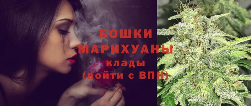 Шишки марихуана Bruce Banner  где найти наркотики  Орск 